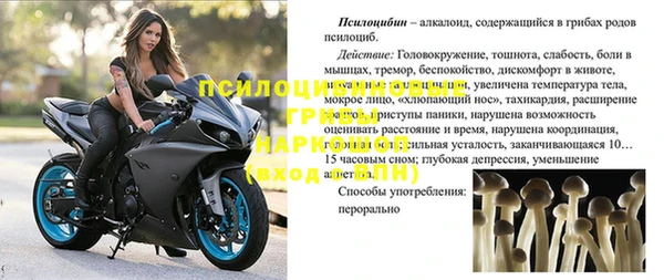 тгк Аркадак